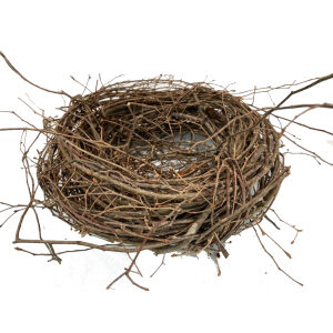 05) Twig Bird Nests