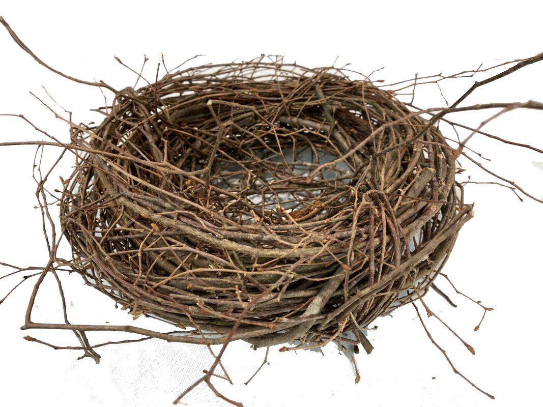 Twig Bird Nests